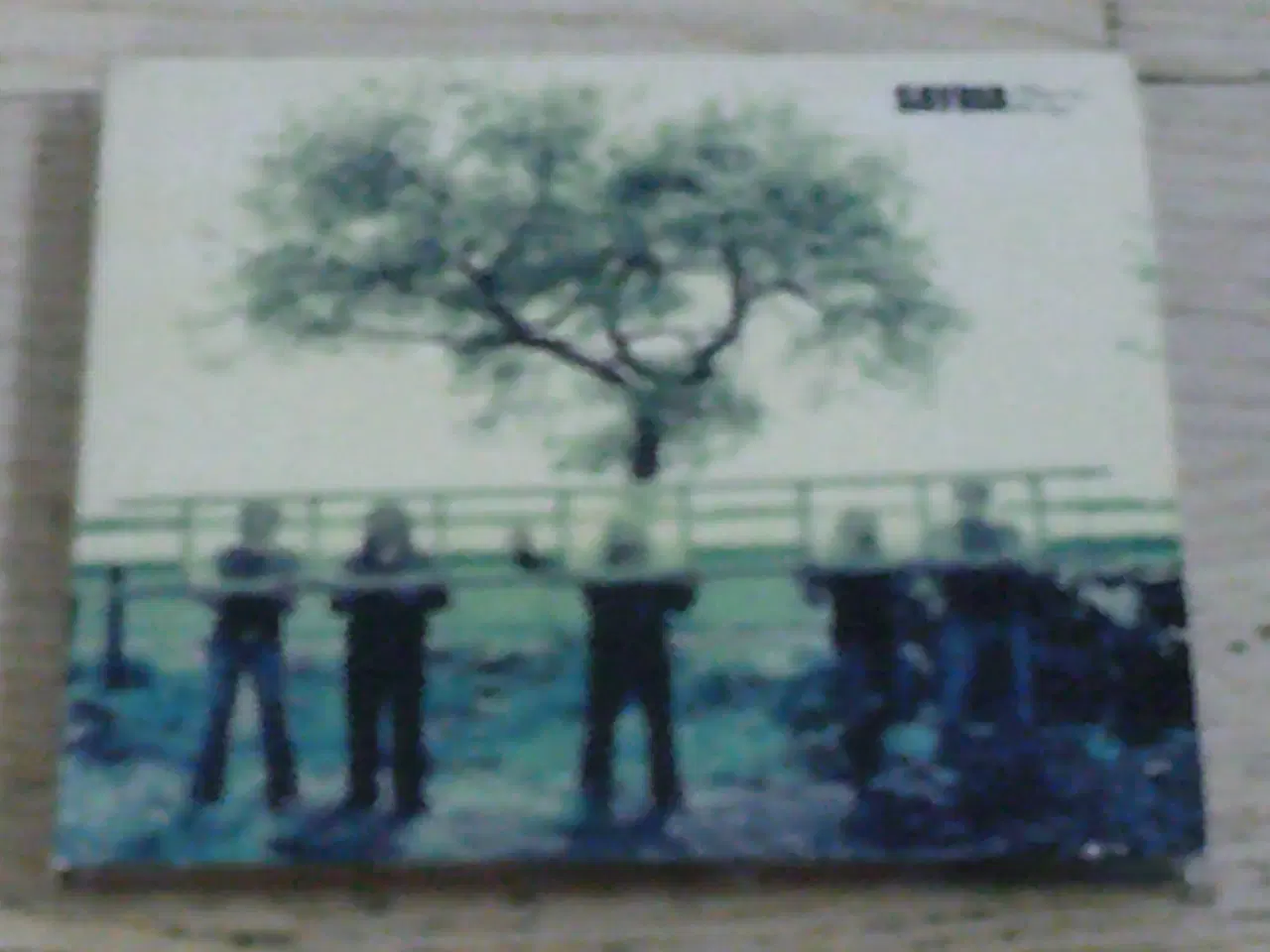 Billede 1 - SAYBIA - THESE ARE THE DAYS