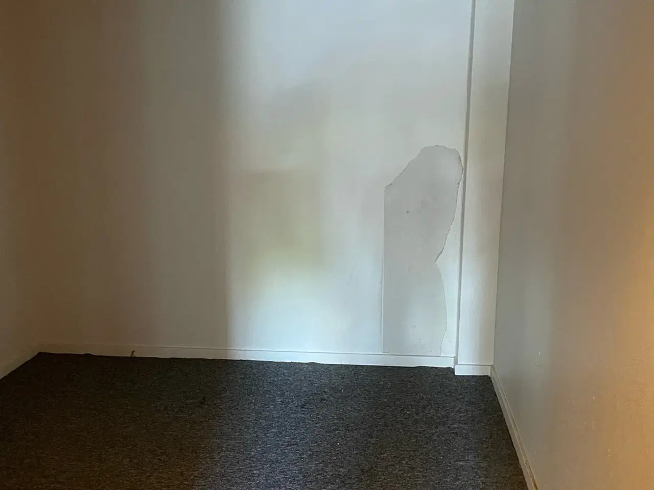 Billede 18 - Stort erhvervslokale med tekøkken og fælles toilet