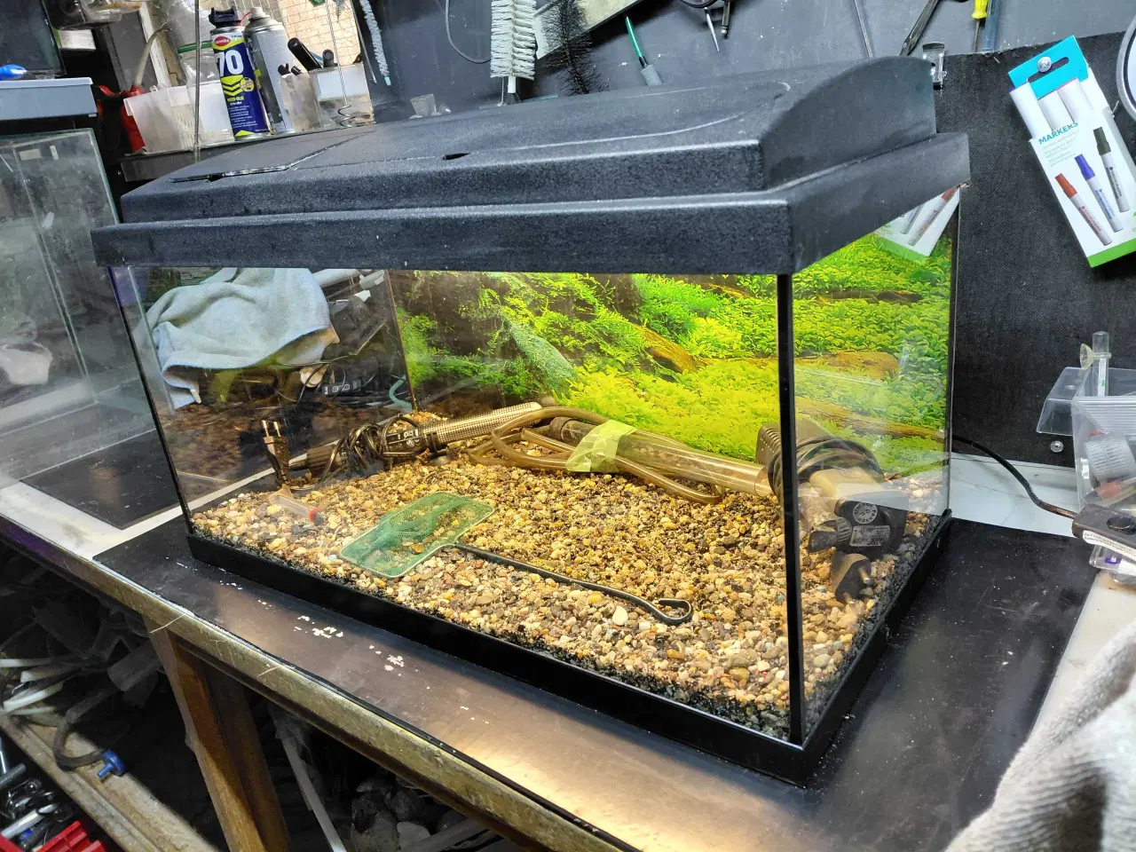 Billede 2 - Akvarier 54L 