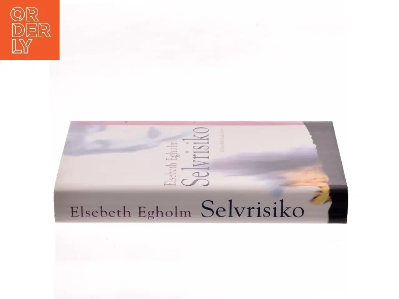 Billede 2 - Selvrisiko af Elsebeth Egholm (Bog)