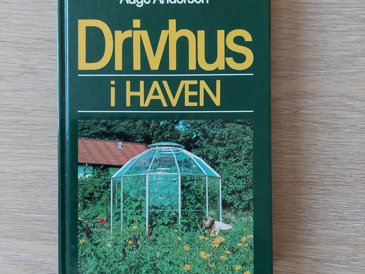 Billede 1 - Drivhus i haven