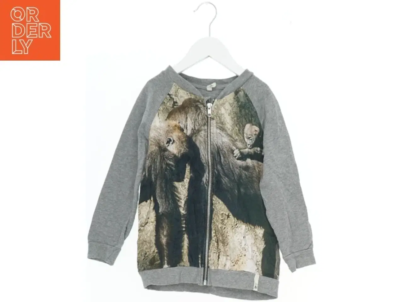 Billede 1 - Grå hættetrøje med dyremotiv fra POPUPSHOP (str. 110)