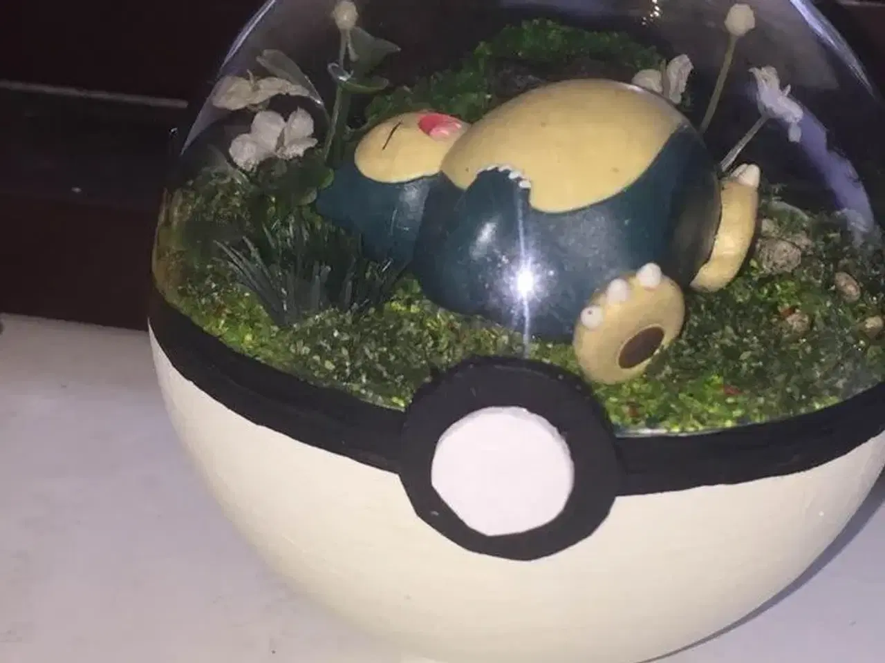 Billede 5 - Pokemon Terrarium 