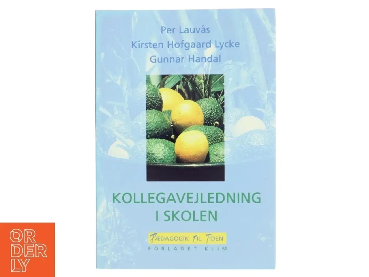 Billede 1 - Kollegavejledning i skolen bog fra Forlaget Klim