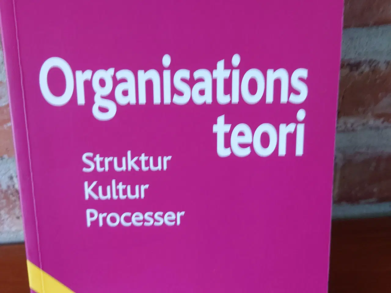 Billede 1 - Organisationsteori : struktur, kultur, processer