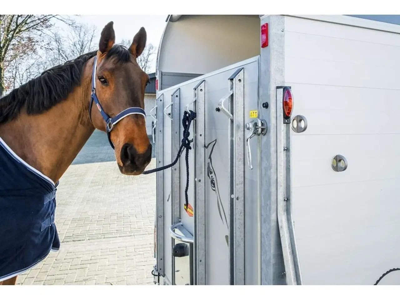 Billede 2 - Böckmann Champion Uno Esprit Grundmodel