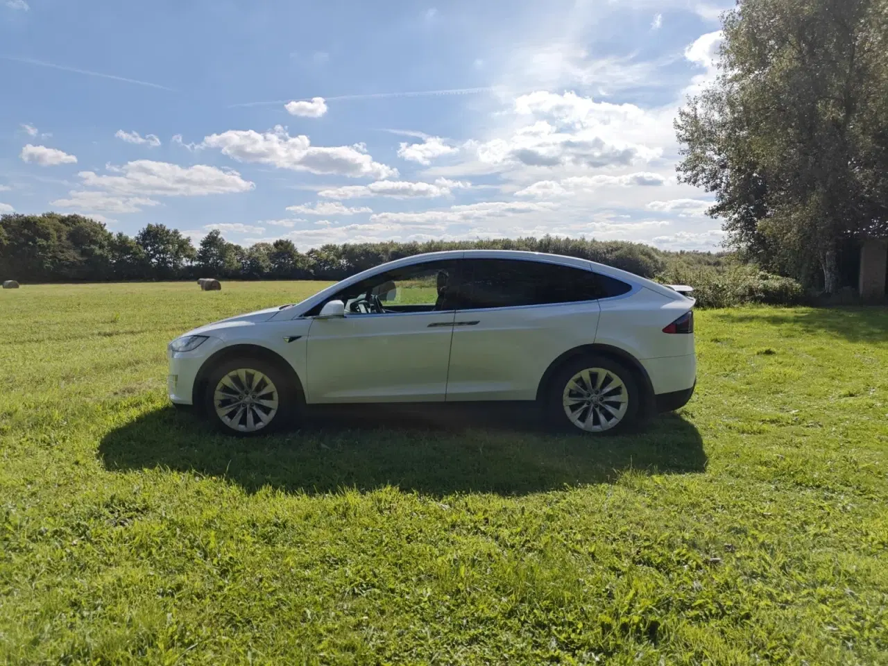 Billede 3 - Tesla Model X  Long Range AWD