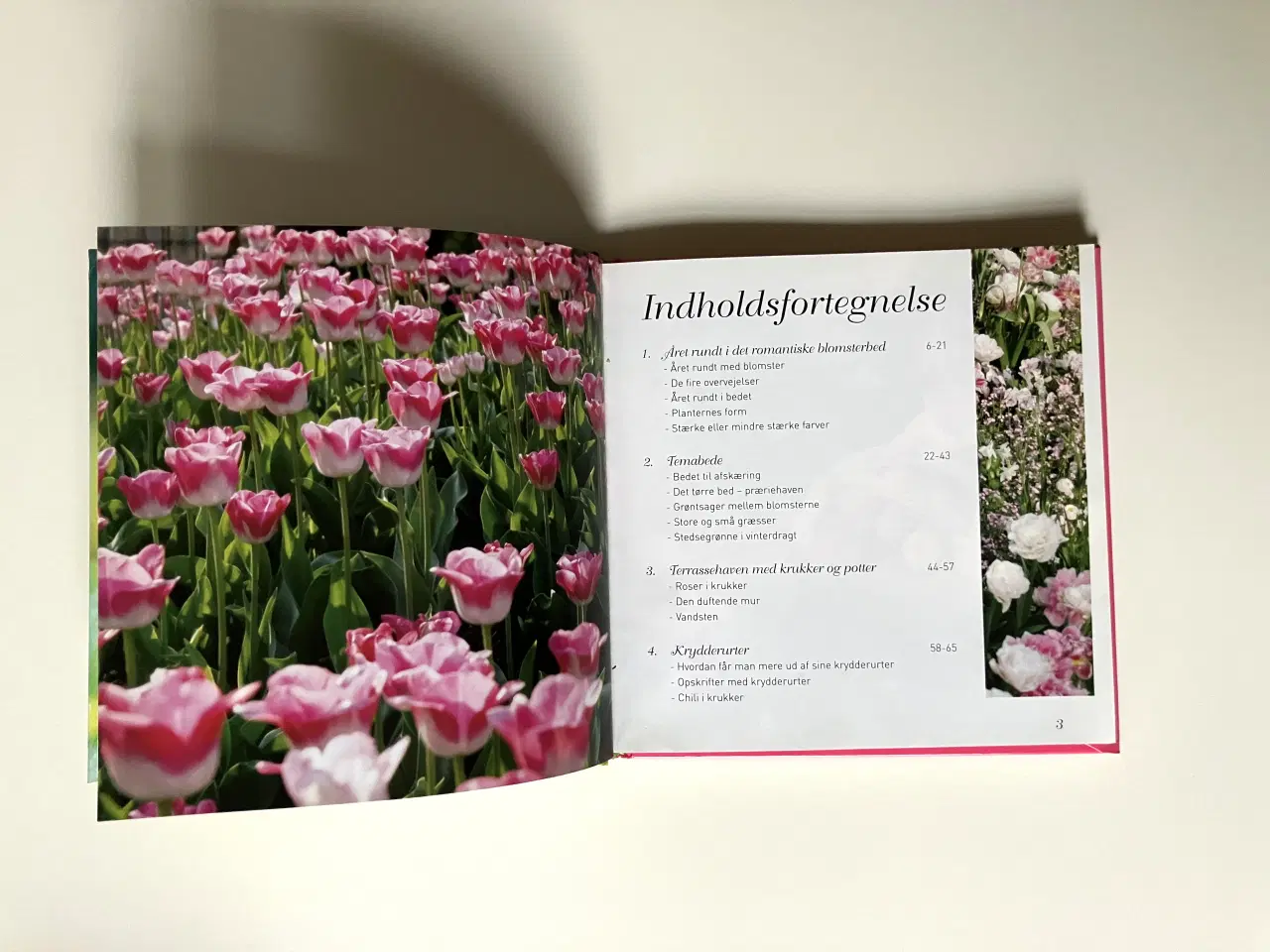 Billede 3 - Gør din have til en oplevelse - inspirerende ideer