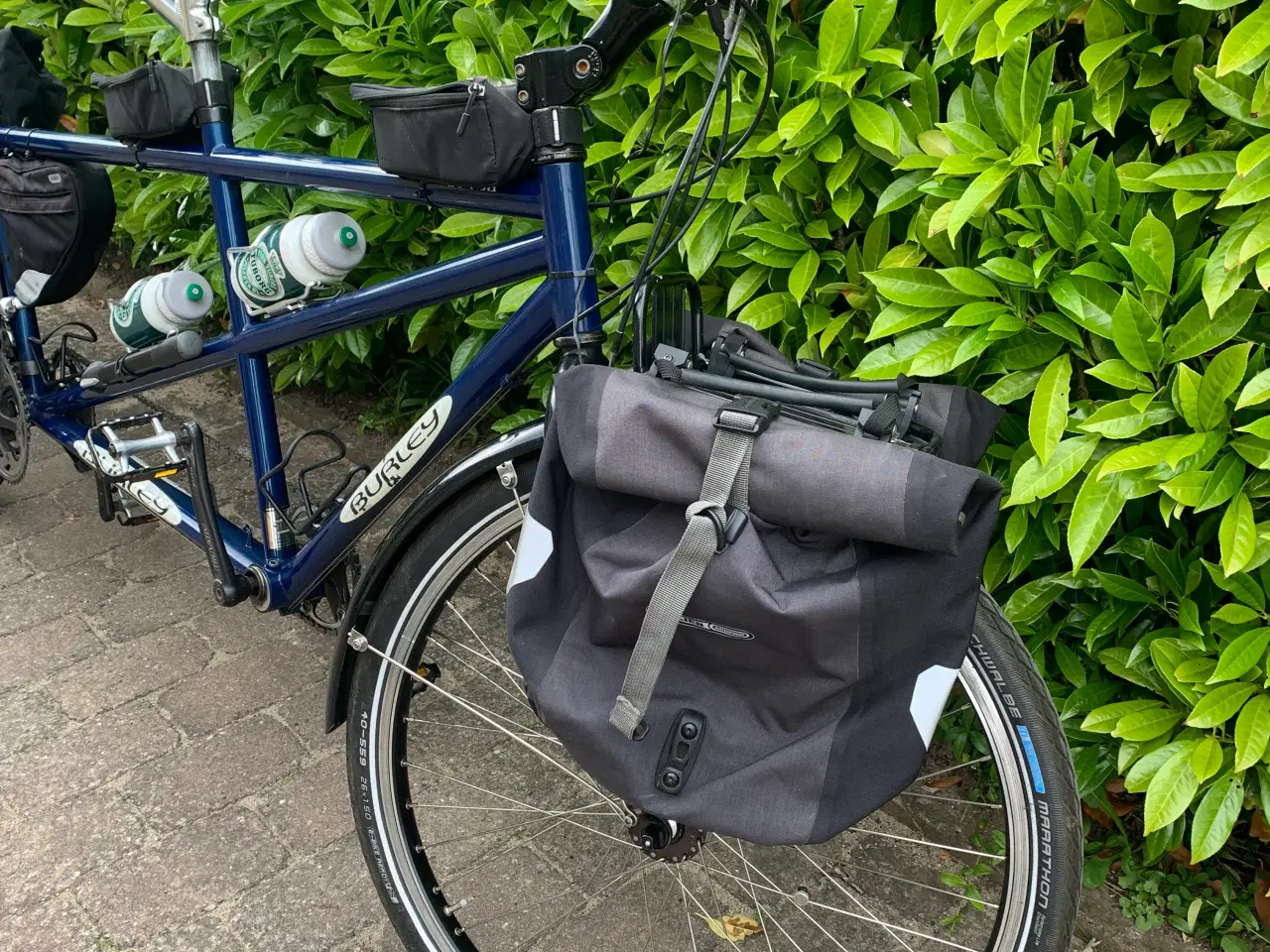 Billede 7 - Touring Tandem Burley "Samba" 24 gear.