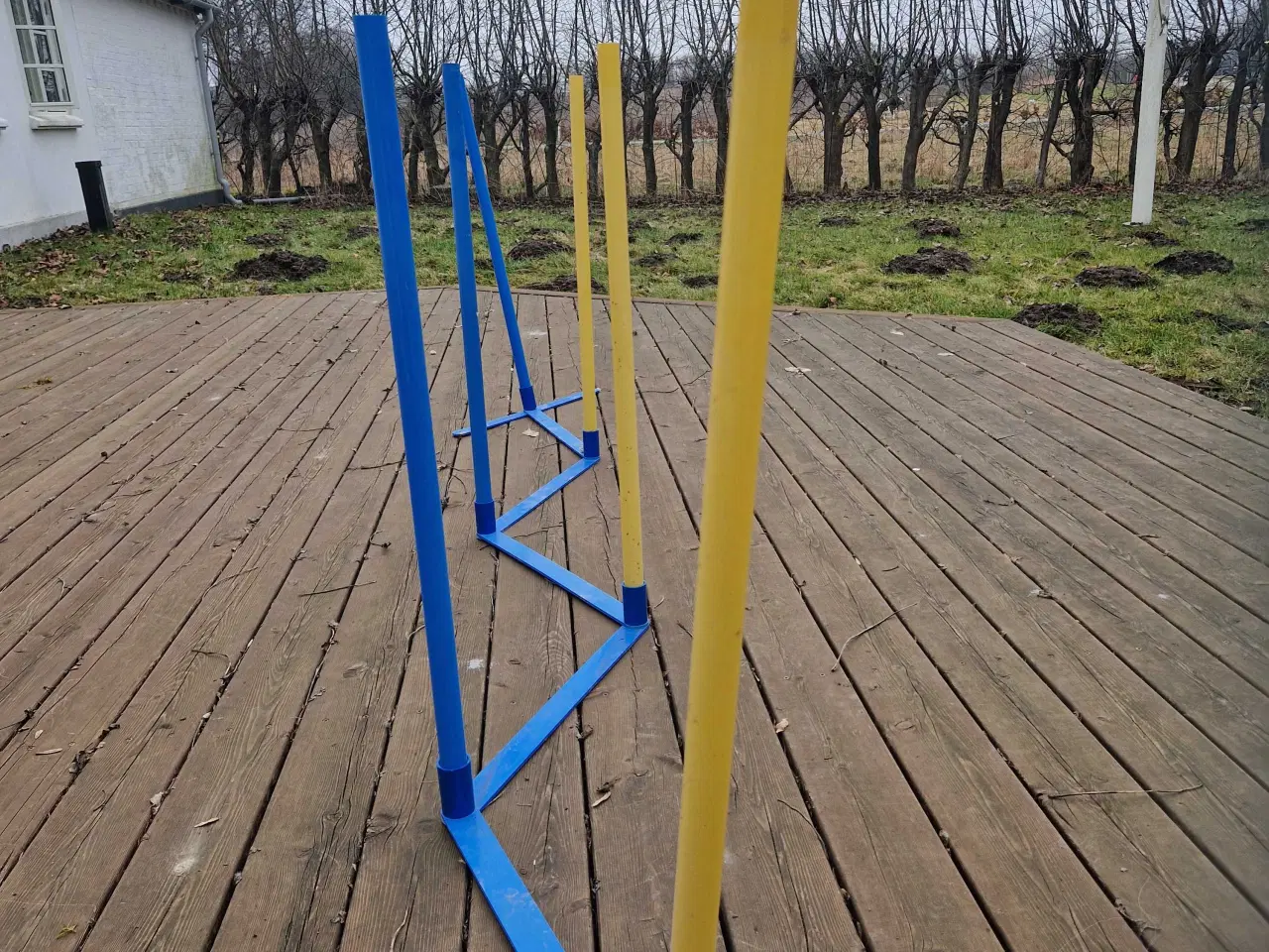 Billede 4 - Slalom i plastik - agility