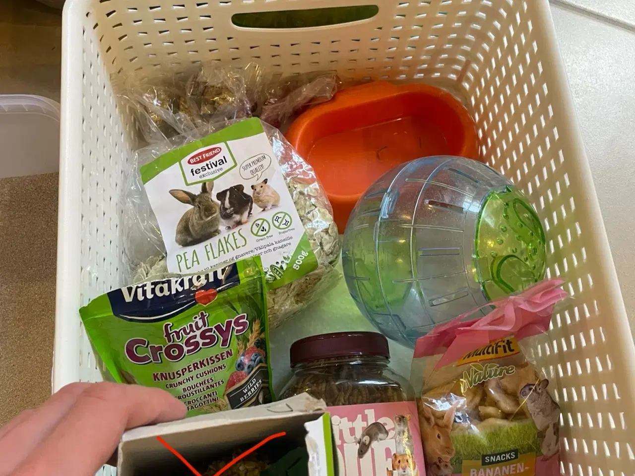 Billede 7 - Dværg Hamster med alt udstyr