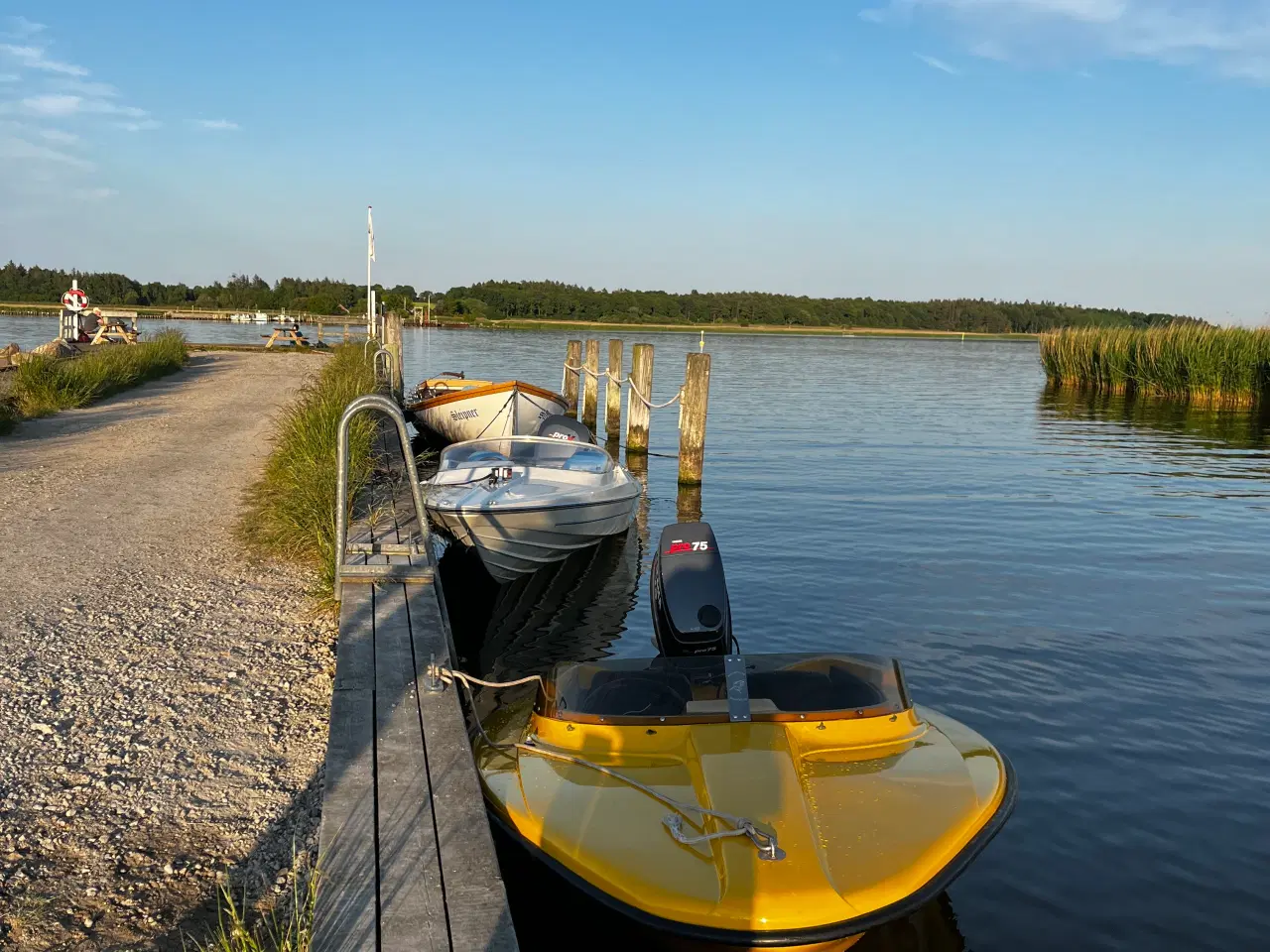 Billede 8 - Shakespeare mini sportsman