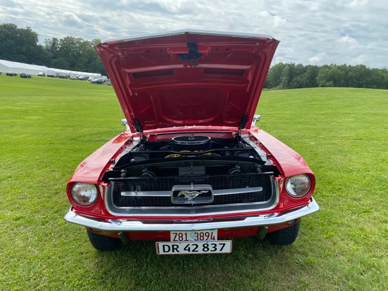 Billede 17 - Ford Mustang 4,7 V8 289cui. Cabriolet