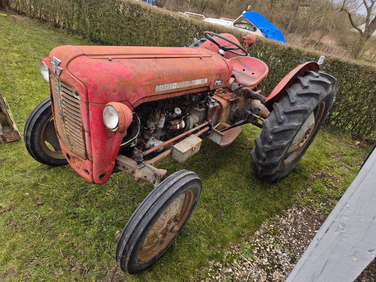 Billede 8 - Massey-Ferguson 