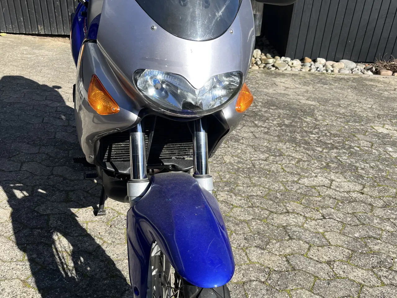 Billede 2 - Aprilia Pegaso 650