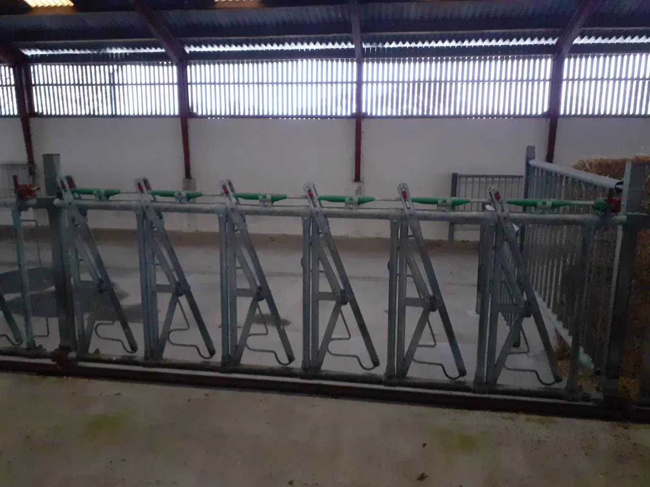 Billede 2 - Brugte fangegitre til ungdyr