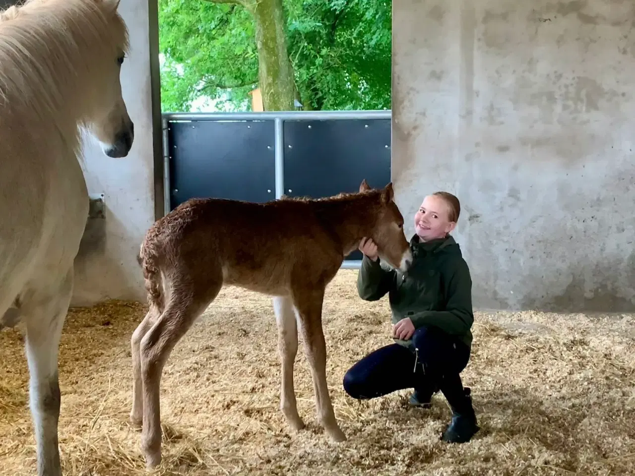 Billede 9 - Smuk islændervallak