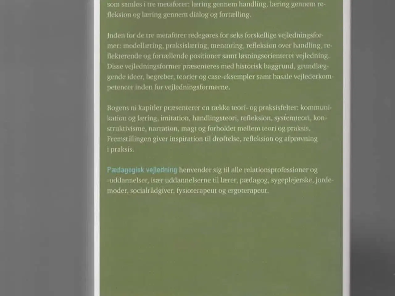 Billede 2 - vejledningsarbejde