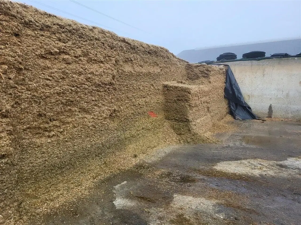 Billede 4 - AP blokskærere AP Blokskærere 1600 DB