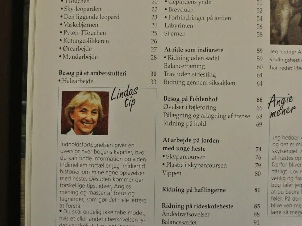 Billede 2 - linda tellington-jones rideskole, af linda telling