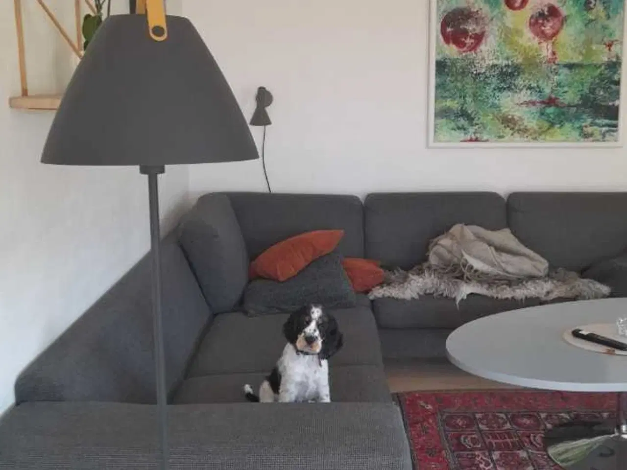 Billede 1 - GRATIS HJØRNESOFA!!