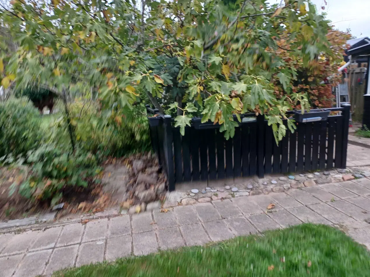 Billede 12 - Kolonihavehus