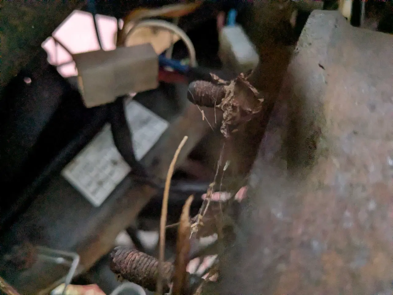 Billede 6 - Aprilia 45