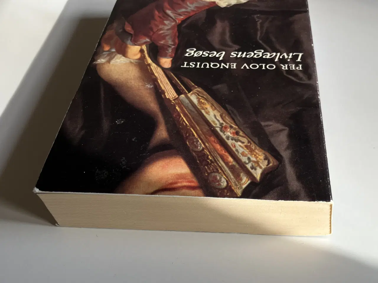 Billede 6 - Livlægens besøg. Af Per Olov Enquist