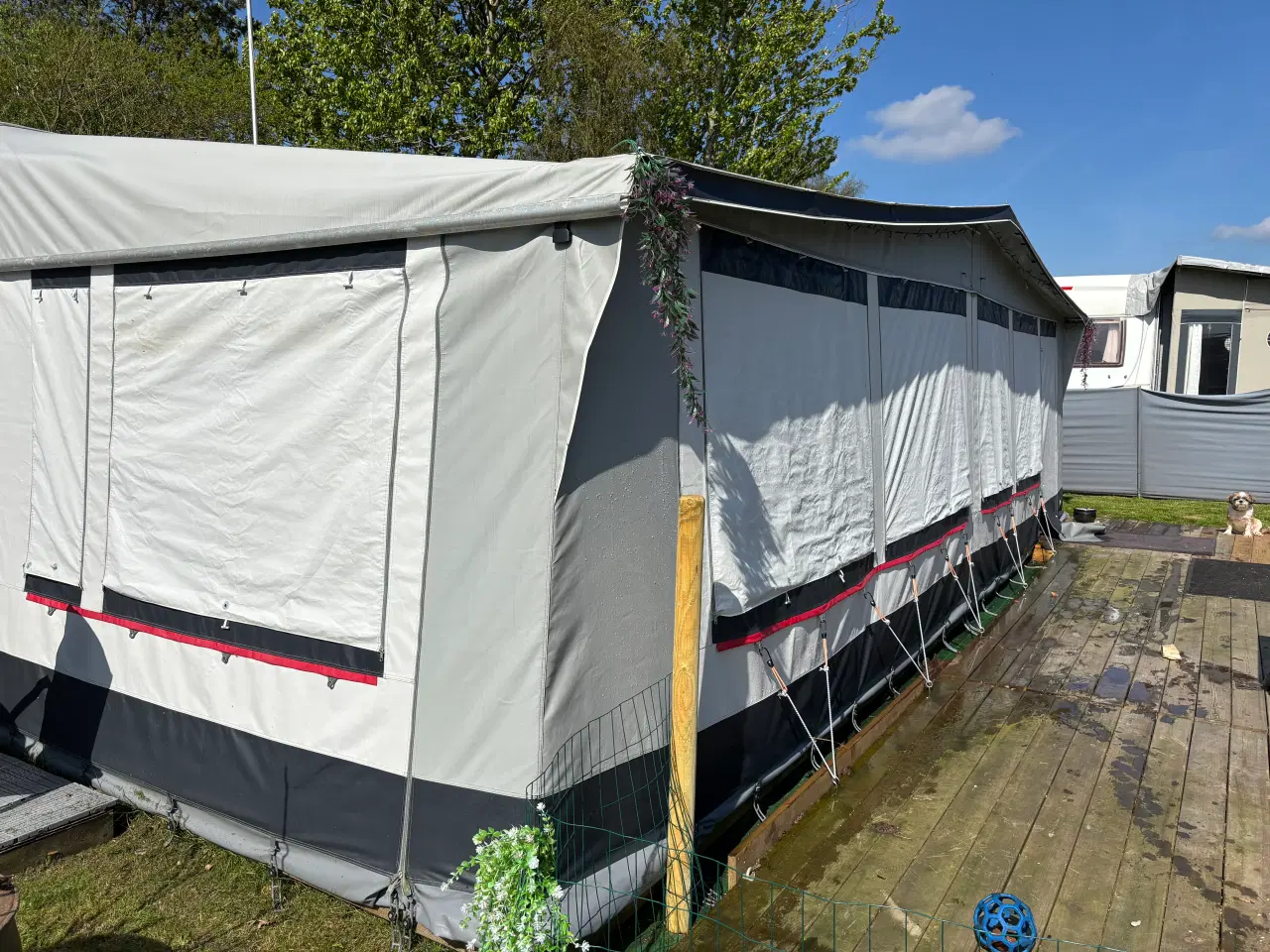 Billede 1 - Flot DWT fortelt