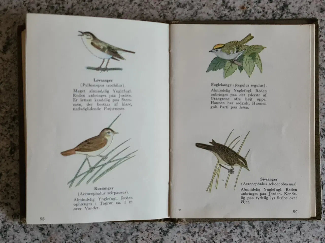Billede 7 - Fugle Atlas over danske fugle