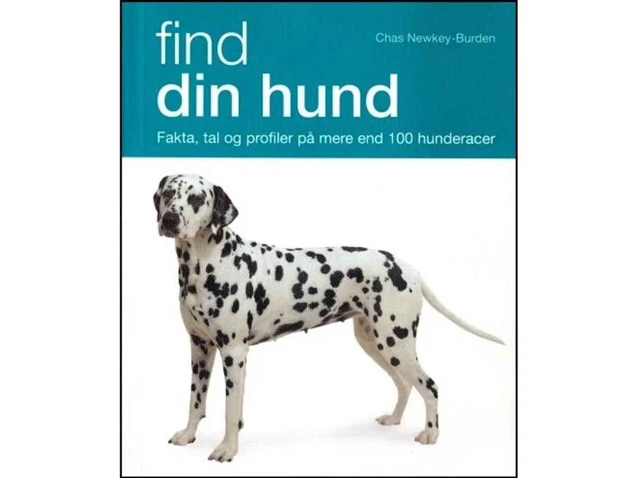 Billede 1 - Find din Hund