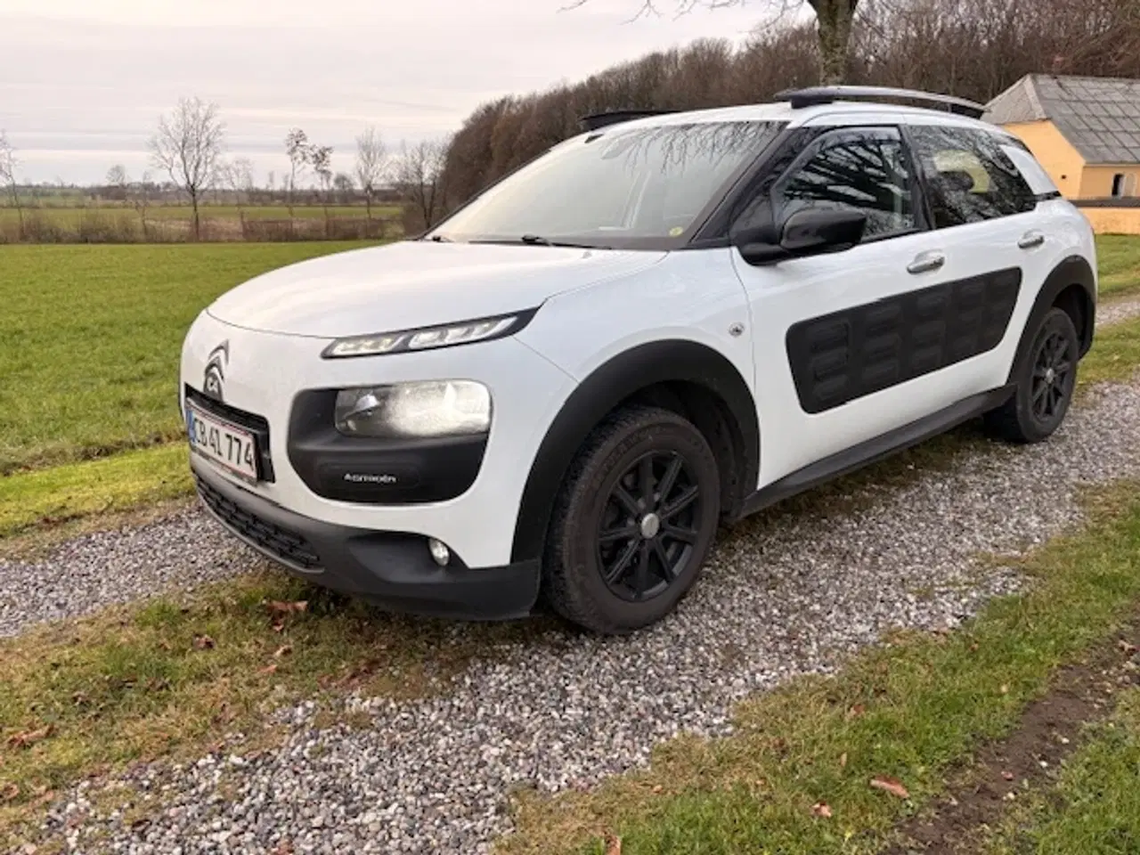 Billede 1 - Citroën C4 Cactus 1,6 BlueHDi 100 Feel 5d