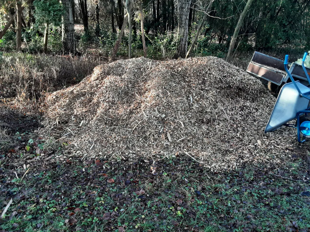 Billede 1 - Træflis