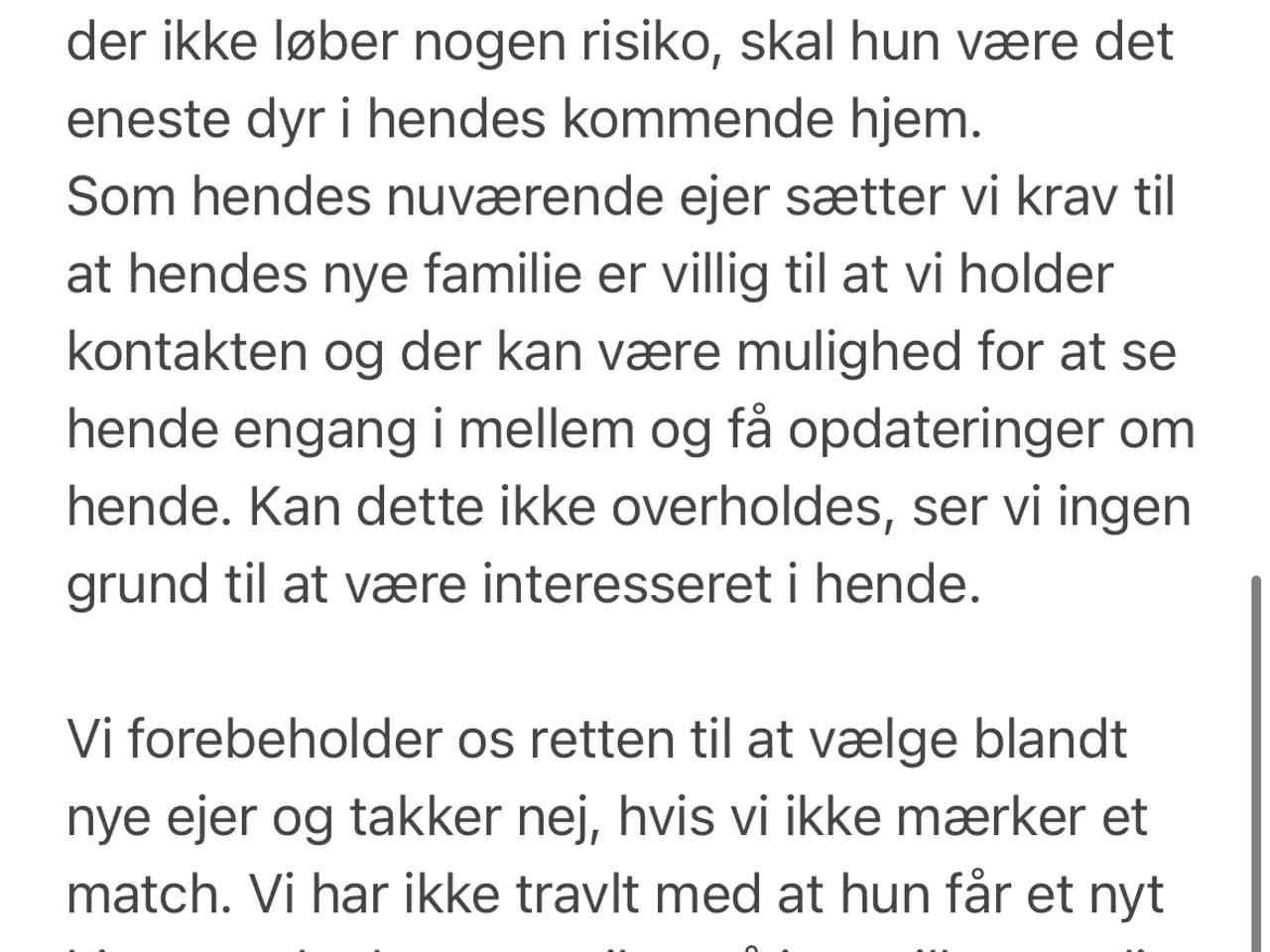Billede 9 - Amerikansk Akita