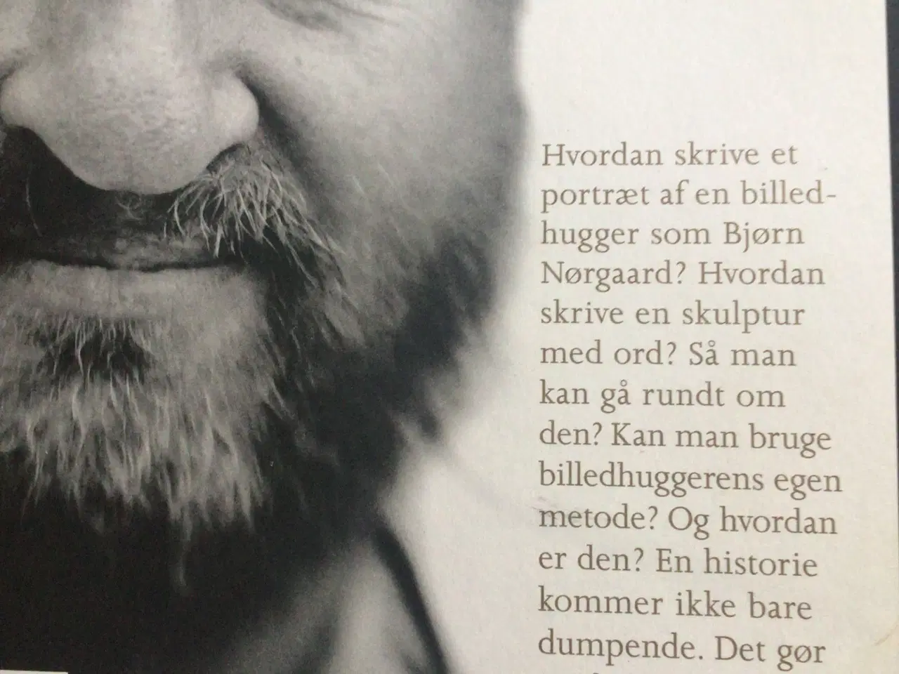 Billede 2 - Bjørn Nørgaard - en billedhuggers verden