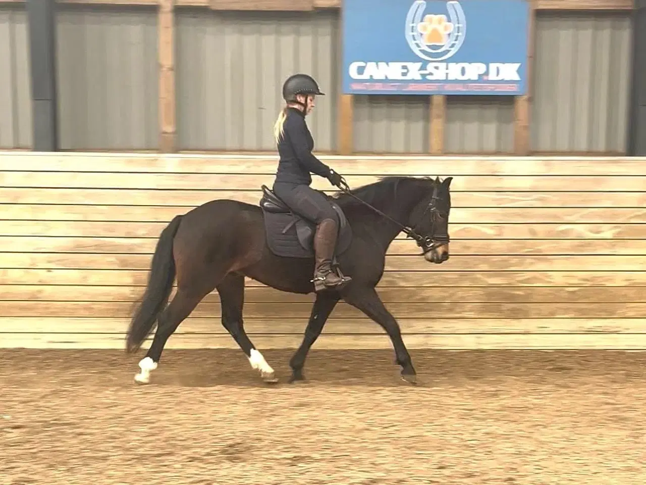 Billede 8 - Allround 2’er pony søger sin nye familie 