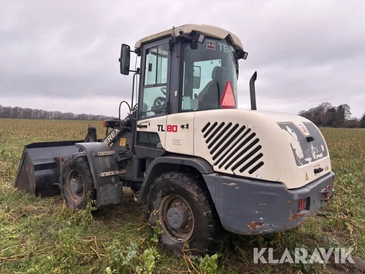 Billede 7 - Minilæsser Terex TL 80