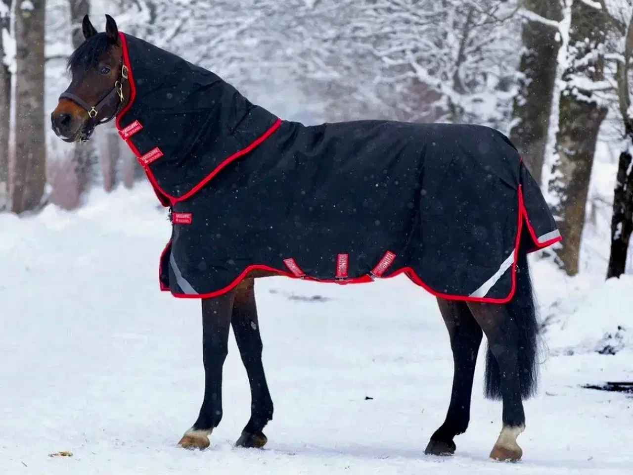 Billede 12 - Horseware Rambo Supreme Plus vinterdækken