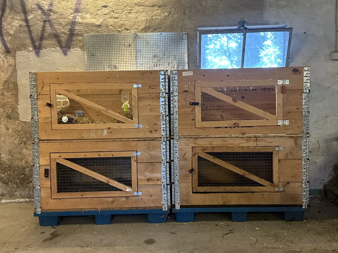 Billede 2 - Kaninbur eller marsvinbur 