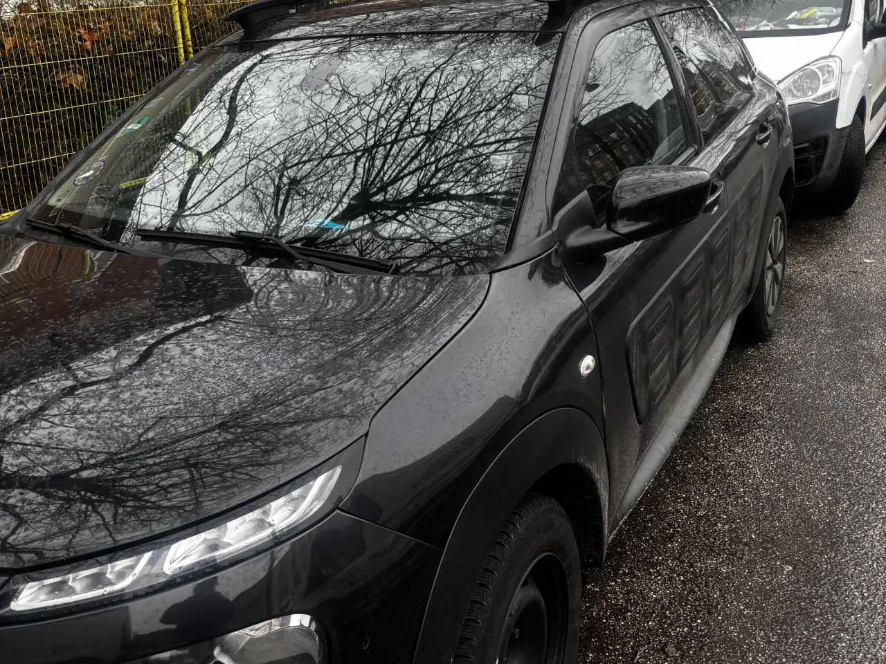 Billede 4 - Citroen c4 cactus 2017