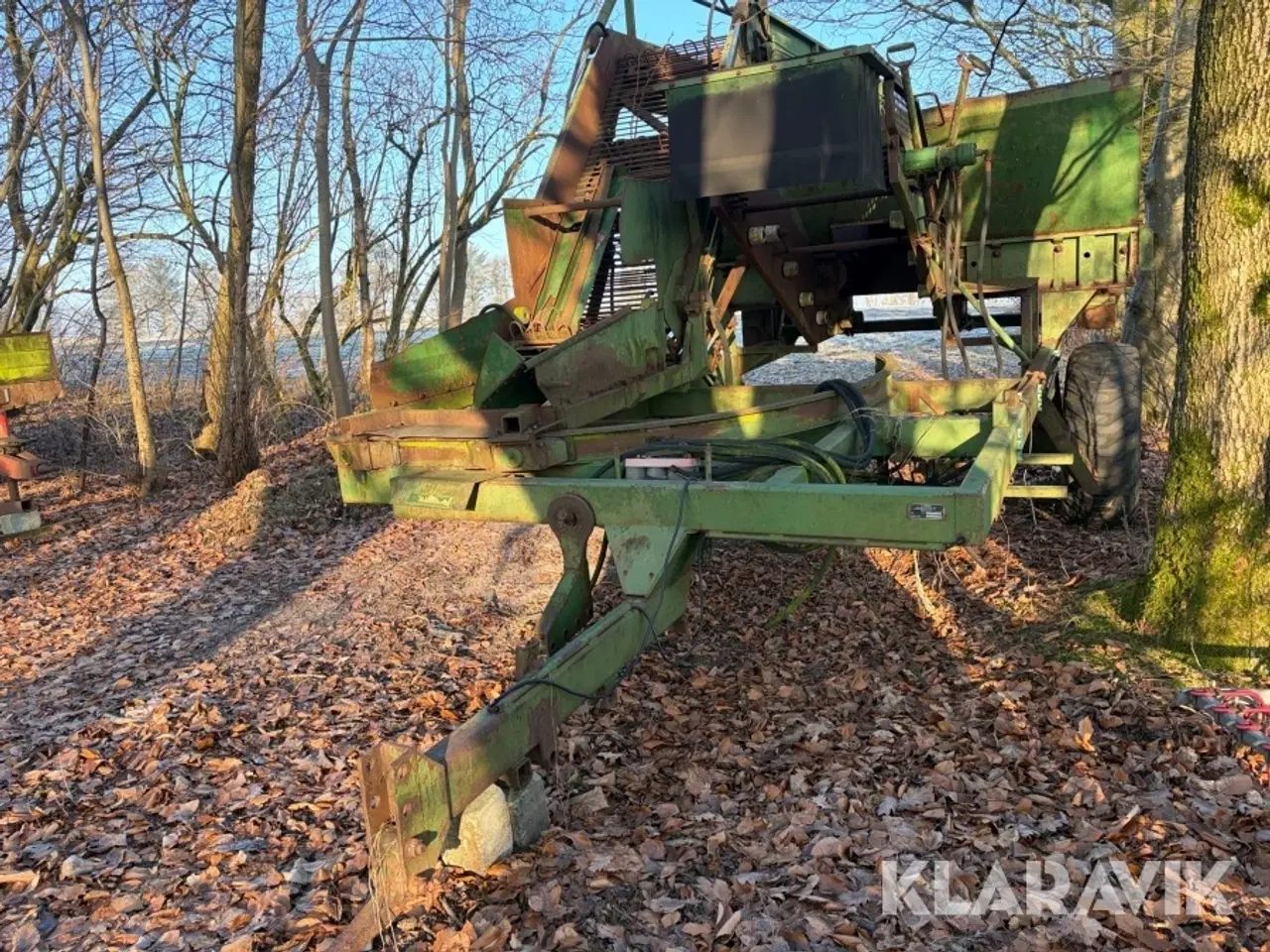 Billede 1 - Ruerenser Thyregods