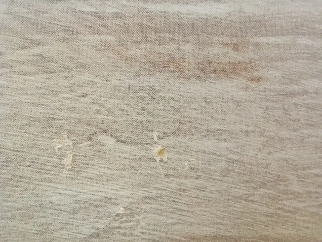 Billede 10 - Flotte billeder 3 store og 2 små