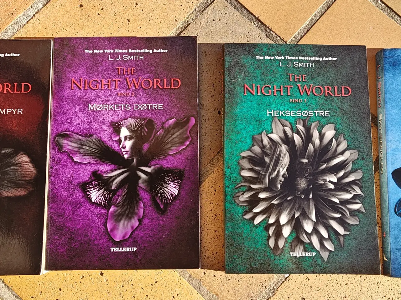 Billede 1 - The Night World 1-4 L.J. Smith - Vampyr Hekse