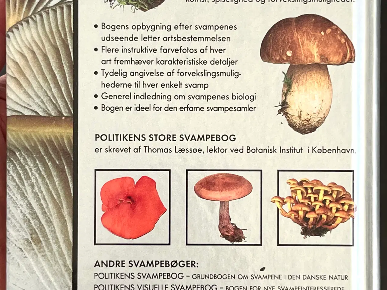Billede 3 - POLITIKENS STORE SVAMPEBOG 