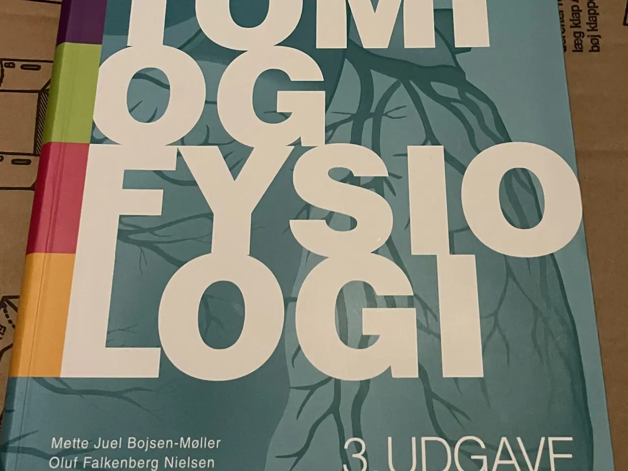 Billede 1 - Anatomi og fysiologi 