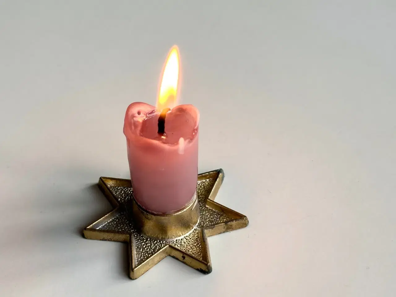 Billede 1 - Stjernestage, Paro