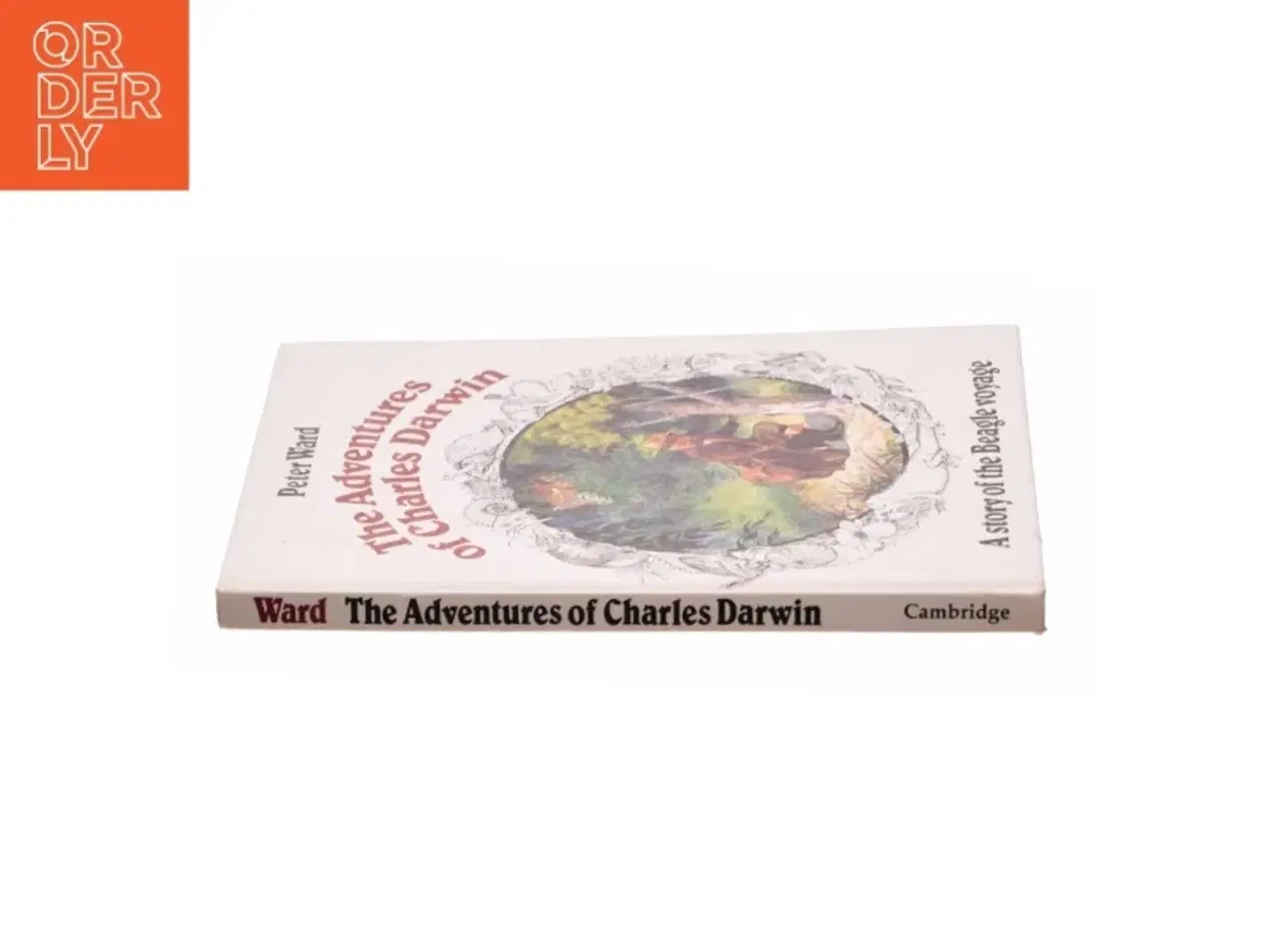 Billede 2 - The Adventures of Charles Darwin af Peter Ward (Bog)