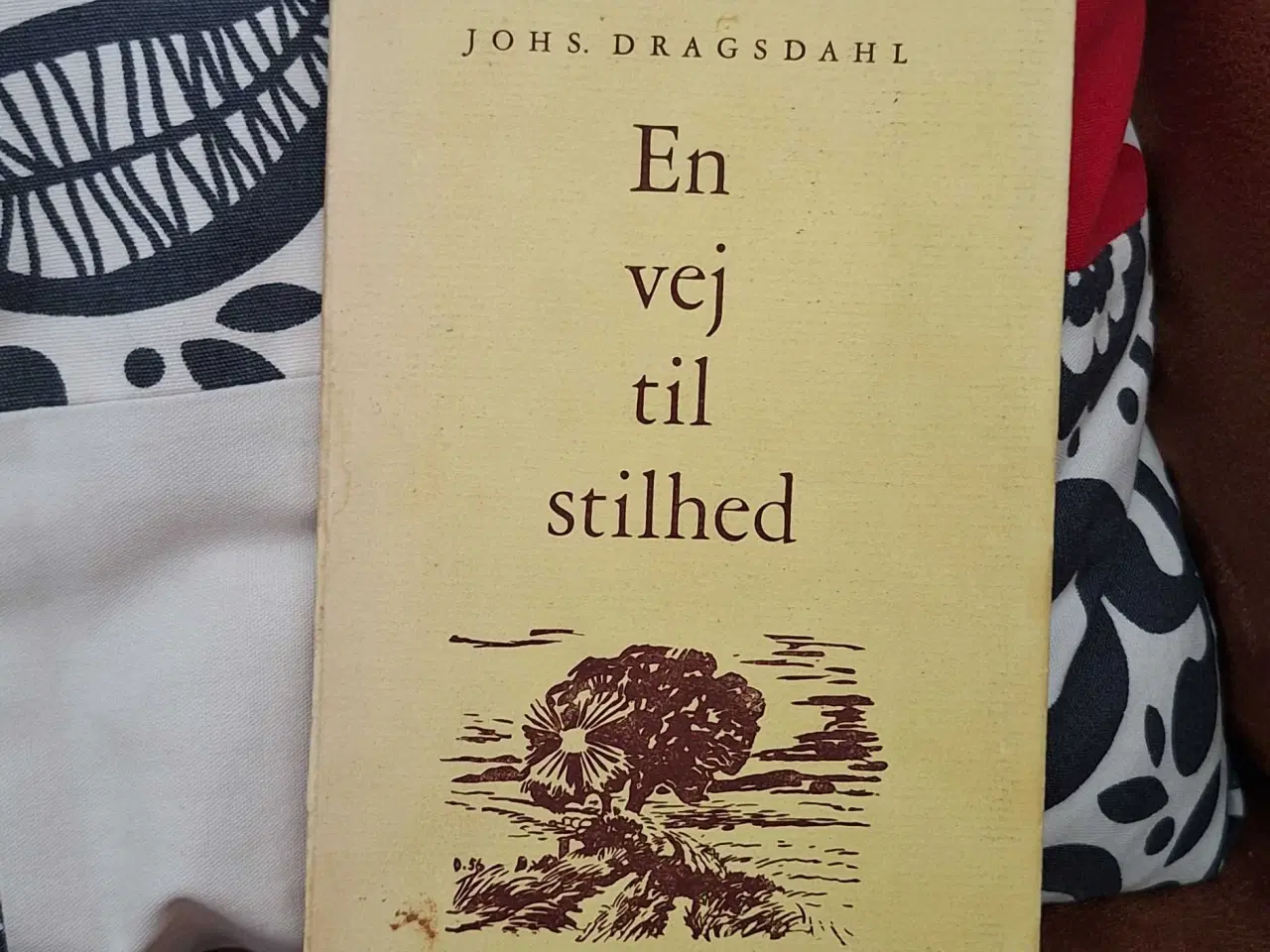 Billede 1 - En vej til stilhed 