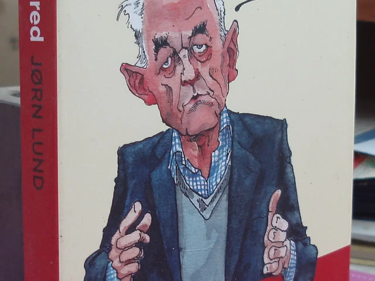 Billede 1 - Dansk i skred af Jørn Lund