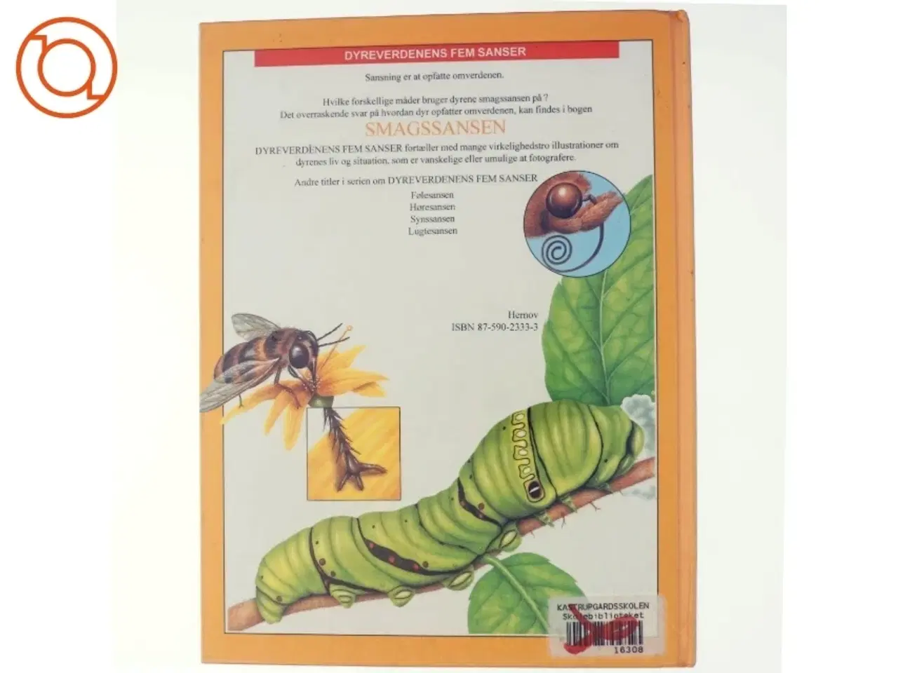 Billede 3 - Smagssansen - Dyreverdenens fem sanser (bog)